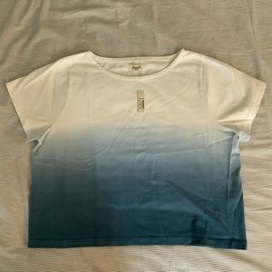 Madewell Tee - Blue and White